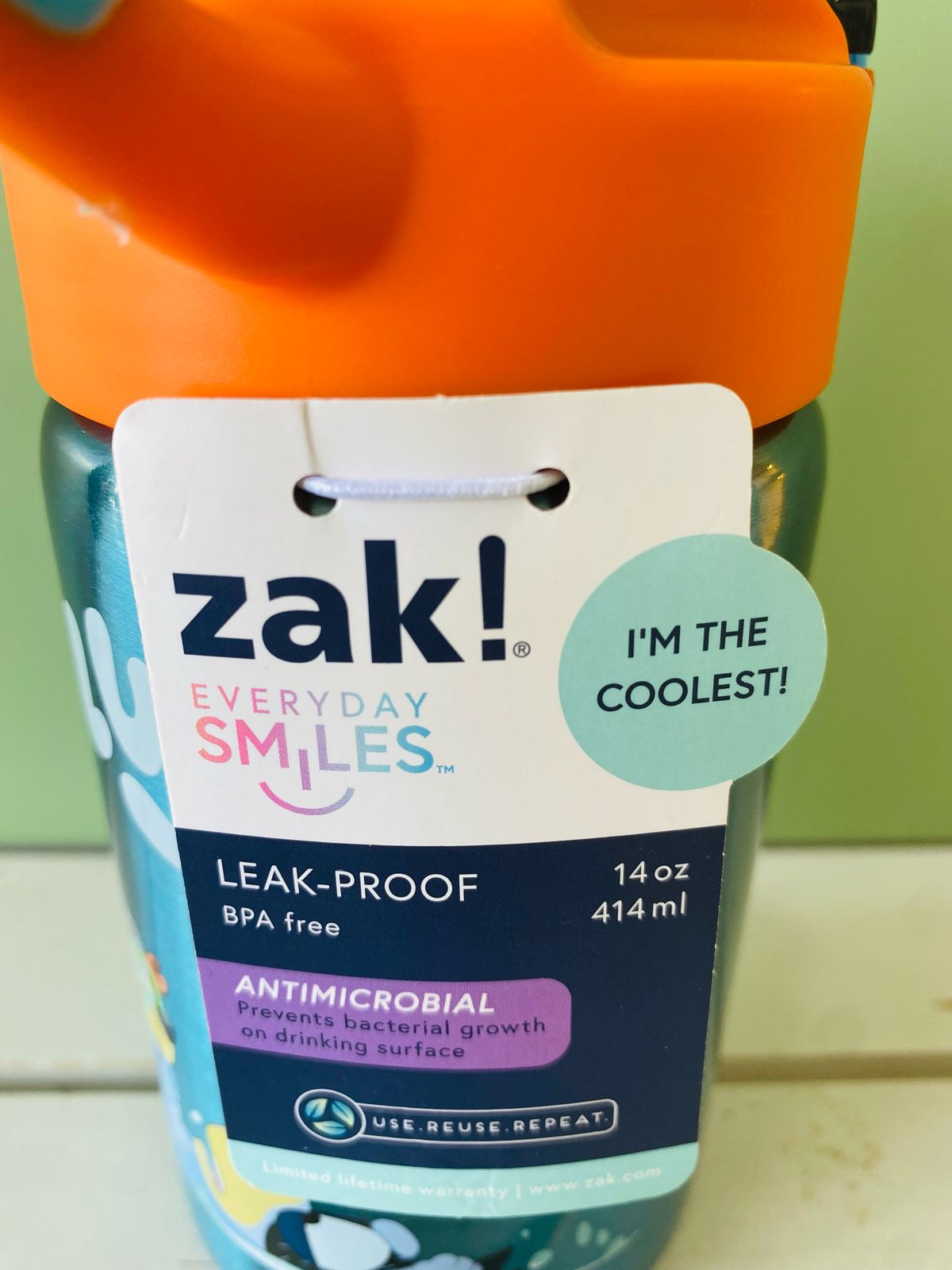 Termo acero inoxidable Bluey